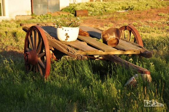 Decoração no jardim da Estancia Cueva de Las Manos, na patagônia argentina